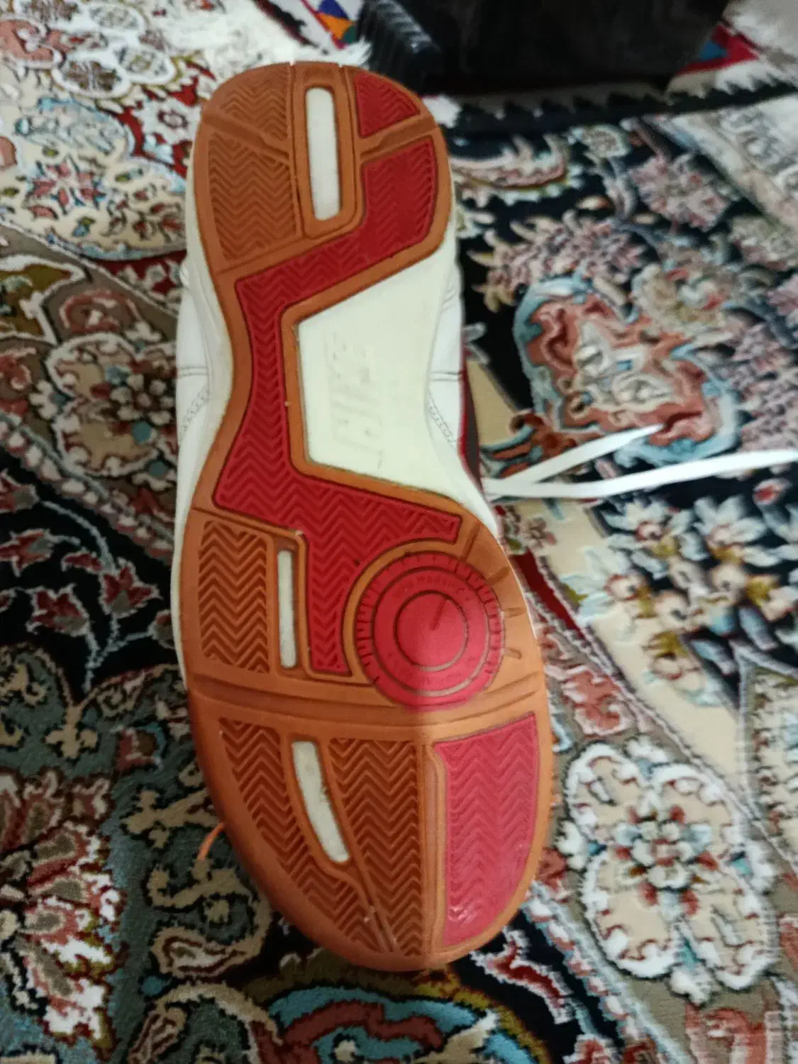 کفش نایک سالنی|کیف، کفش، کمربند|شیراز, شهرک ترکان|دیوار