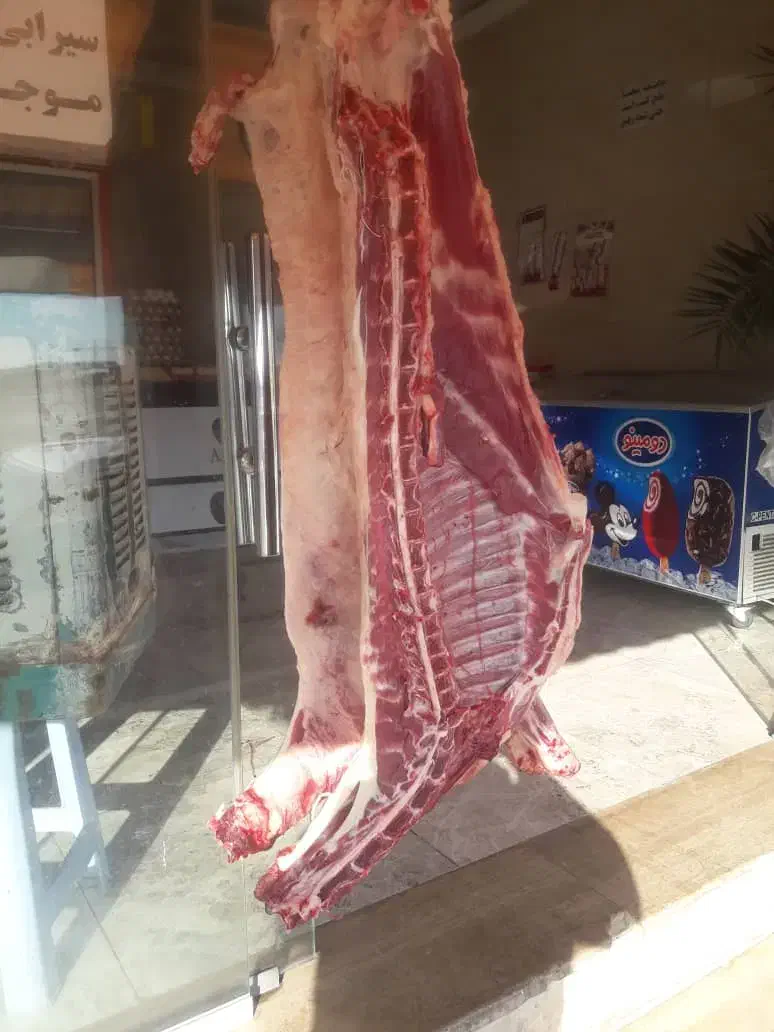 قصاب و سلاخ ذبح گوسفند و گوساله|خدمات پذیرایی، مراسم|اسلامشهر, شهرک مهدیه|دیوار