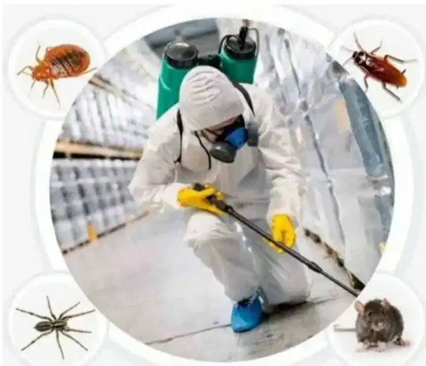 سم پاشی منازل سمپاشی اماکن تضمینی|خدمات نظافت|مشکین‌دشت, |دیوار