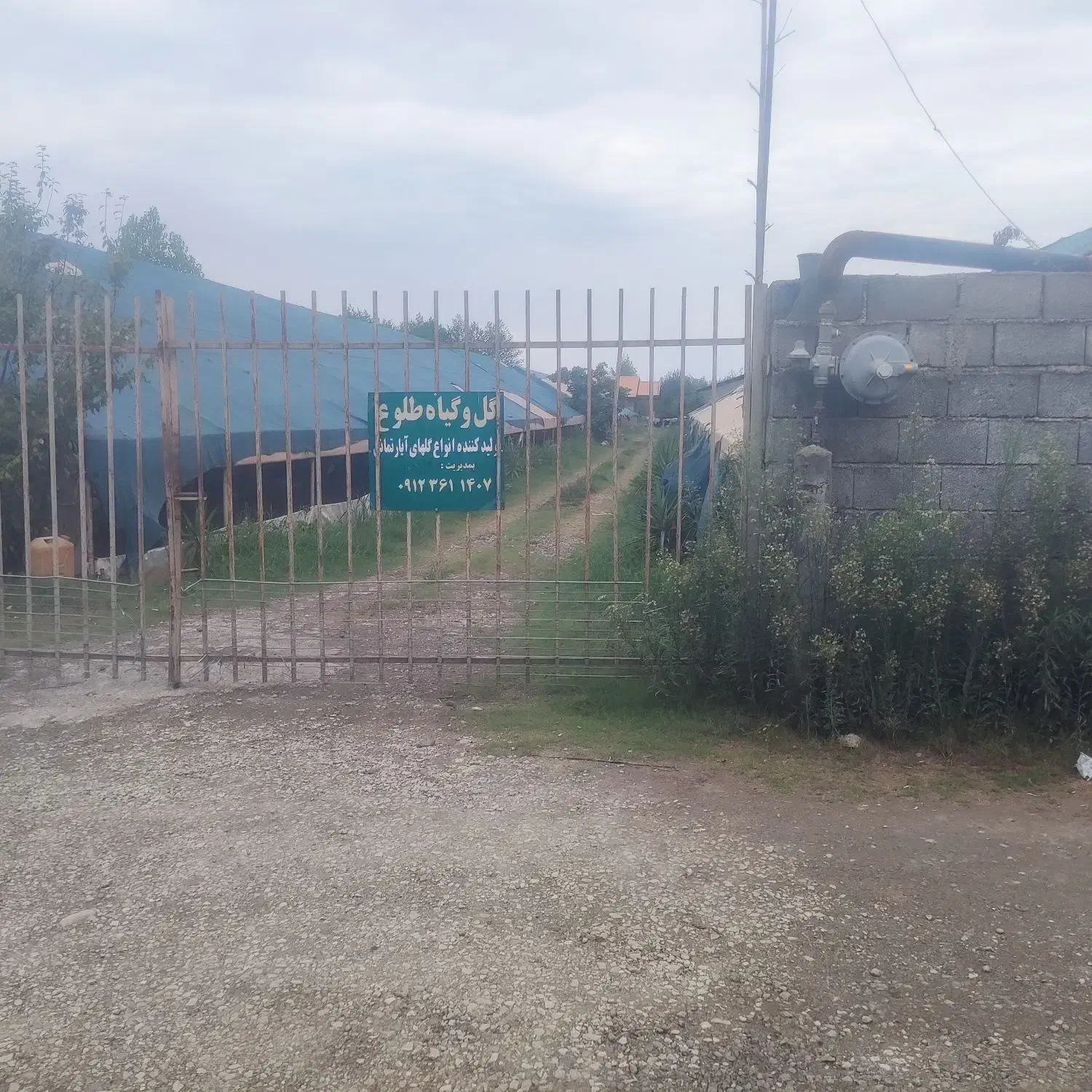 ۳۵۰۰متر زمین با ۱۱۰متر ویلا و۲۲۰۰متر گلخانه|فروش خانه و ویلا|سلمان‌شهر, |دیوار