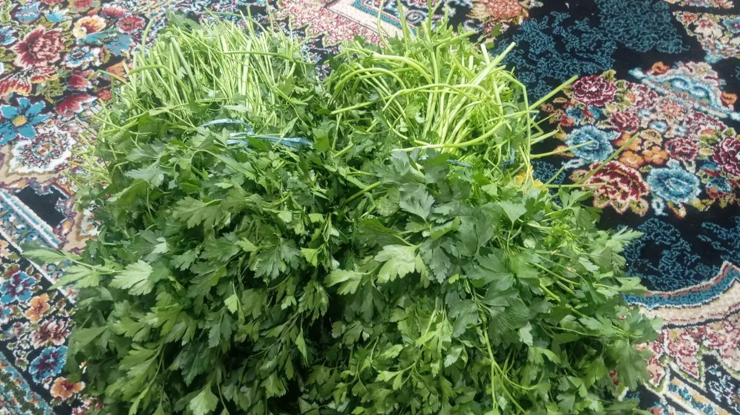 سبزی تازه|خوردنی و آشامیدنی|ایذه, |دیوار