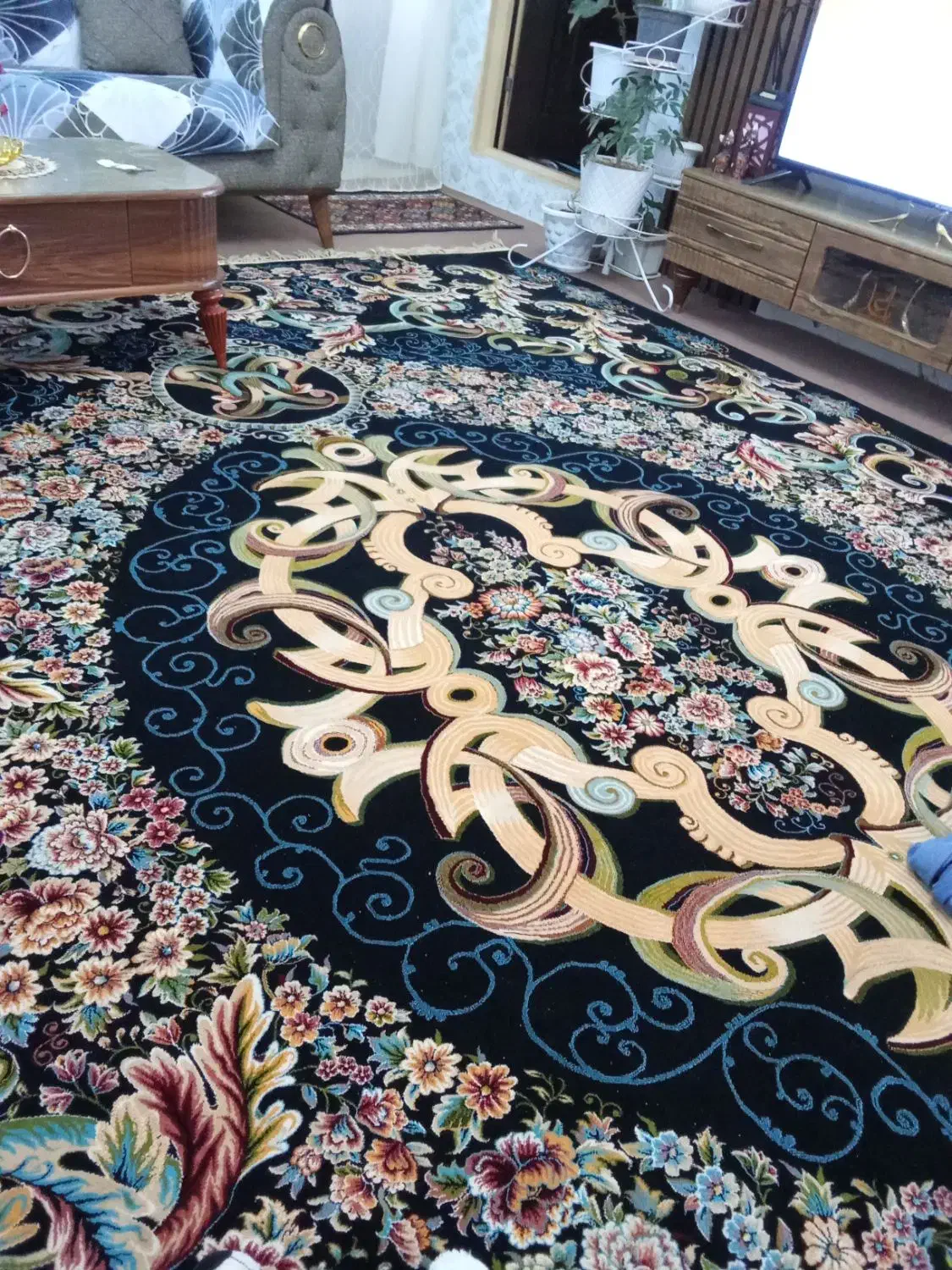 فرش ۱۲متری|فرش|اهر, |دیوار