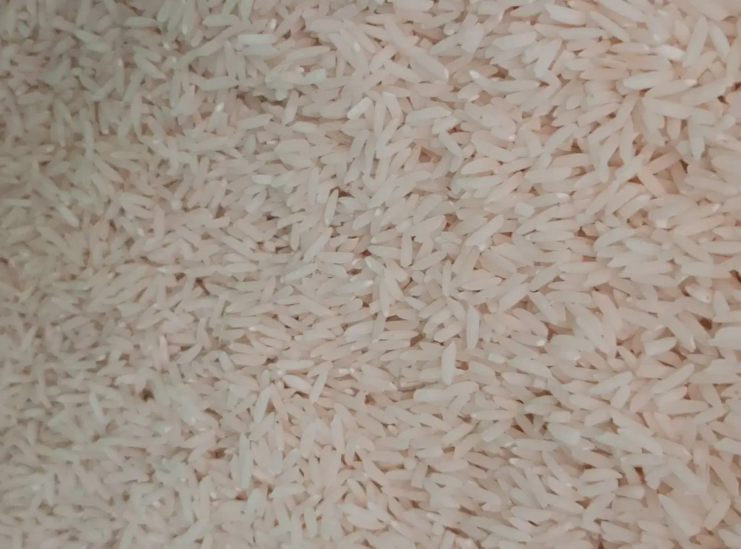 برنج هاشمی|خوردنی و آشامیدنی|اشکذر, |دیوار