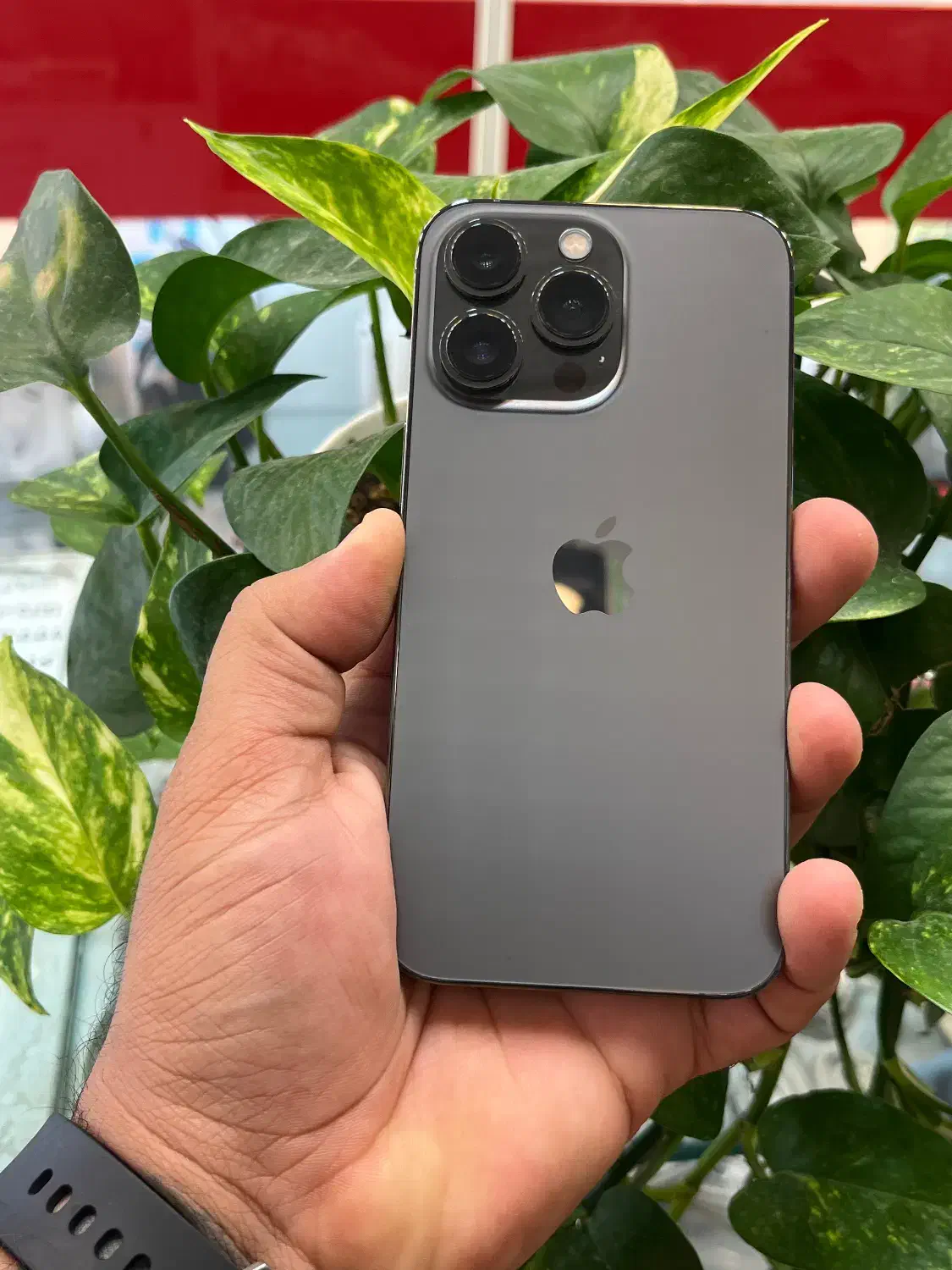 Iphone 13pro LLa|موبایل|شیراز, زند|دیوار
