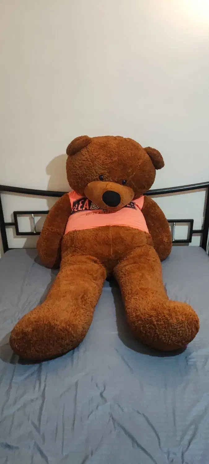 خرس|اسباب‌‌بازی|تهران, درب دوم|دیوار