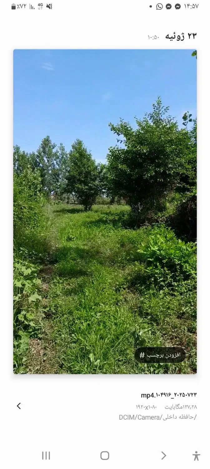 زمین باغی ۱۵۵۰ متر روستای لالم ضیابر فقط ۲میلیارد|فروش زمین و ملک کلنگی|ضیابر, |دیوار