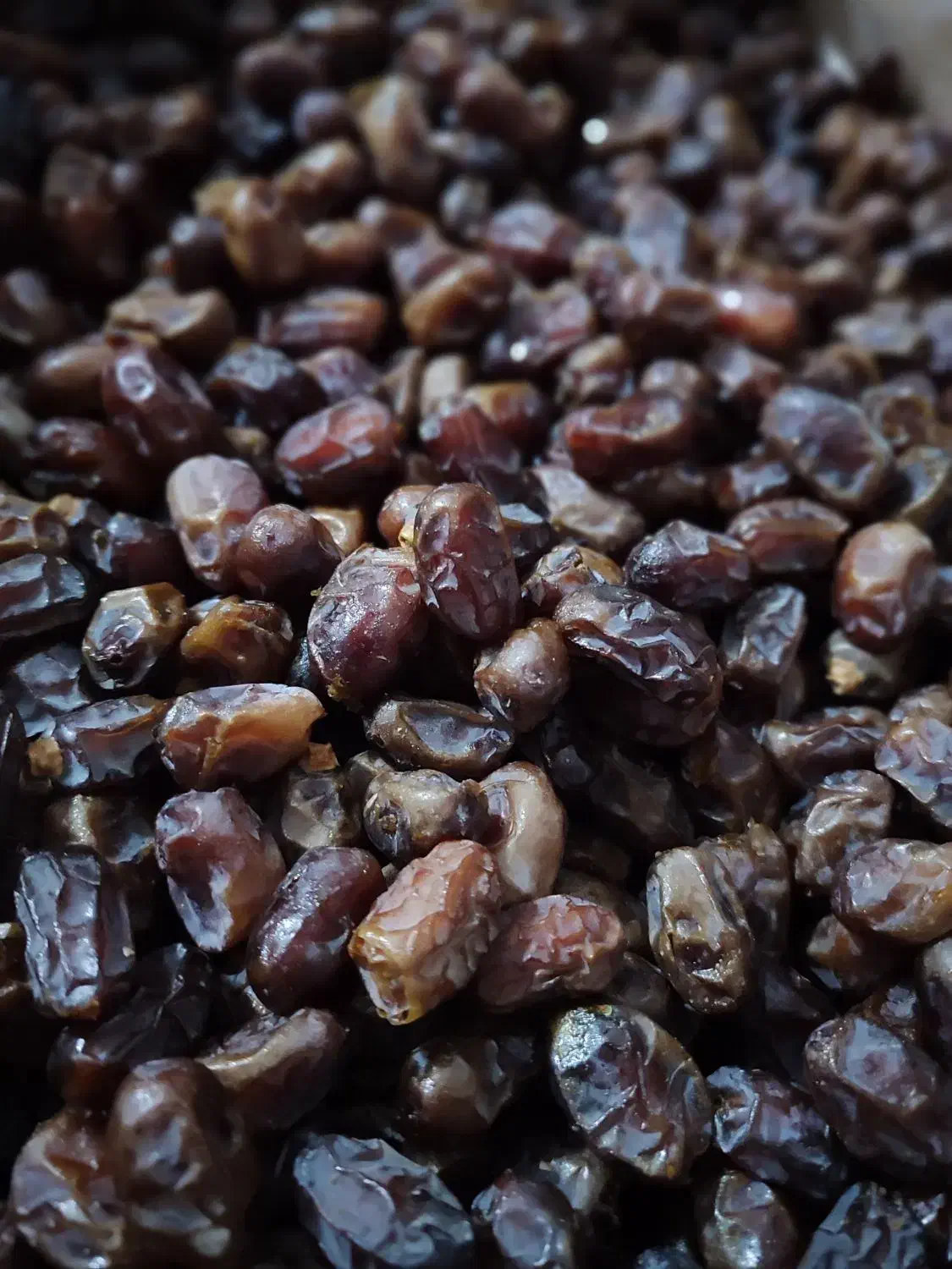 خرما آلوچه ایی|خوردنی و آشامیدنی|شیراز, شهرک آرین|دیوار