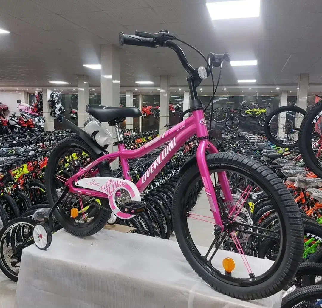 دوچرخه دخترانه گربه ایی سایز 20 و16|دوچرخه، اسکیت، اسکوتر|مشکیندشت, |دیوار