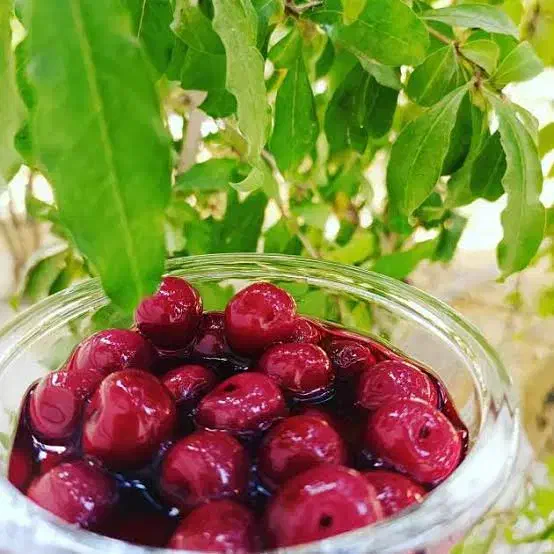 ترشی البالو خانگی|خوردنی و آشامیدنی|آذرشهر, |دیوار