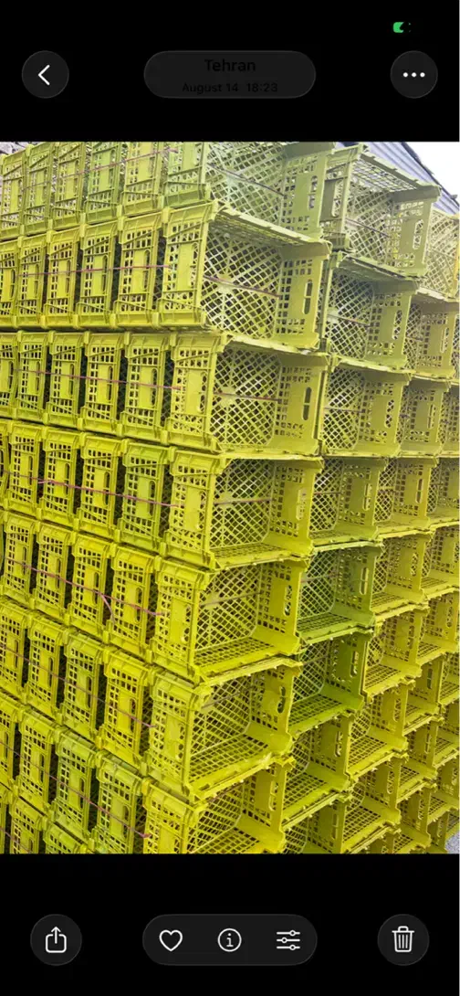 تولید و پخش ظروف پلاستیکی|ظروف نگهدارنده، پلاستیکی، یکبارمصرف|هشتگرد, تهران دشت|دیوار