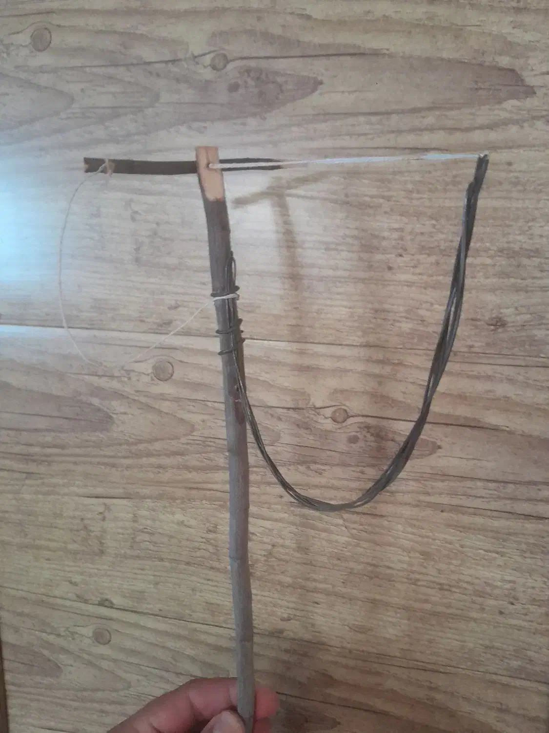 تله|لوازم جانبی حیوانات|شاهینشهر, شهرک گلدیس|دیوار