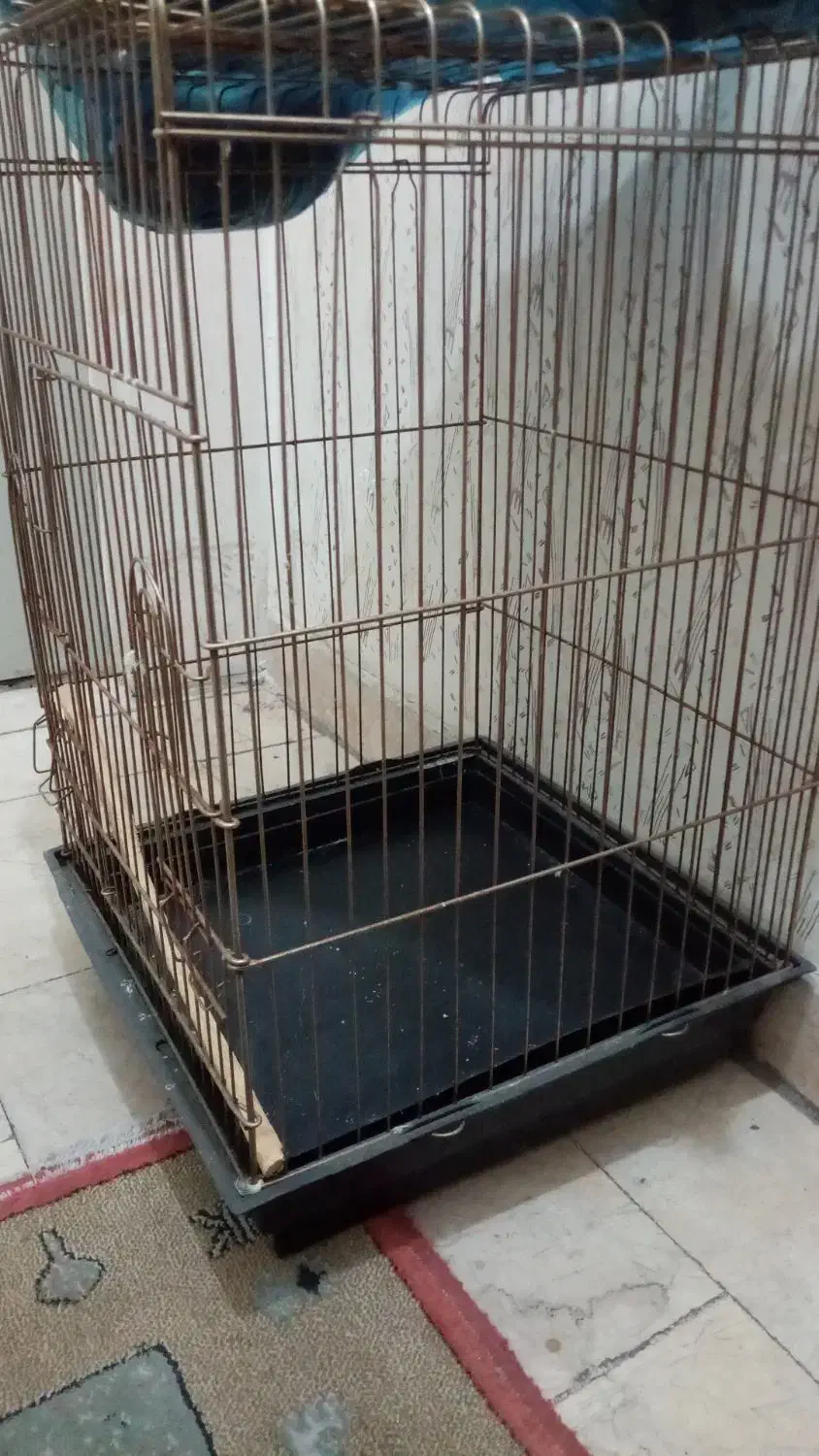 قفس پرنده|لوازم جانبی حیوانات|مشهد, فردوسی|دیوار