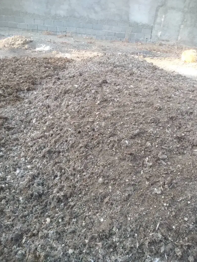 کود مرغی ،زل|خدمات باغبانی و درختکاری|فلاورجان, |دیوار