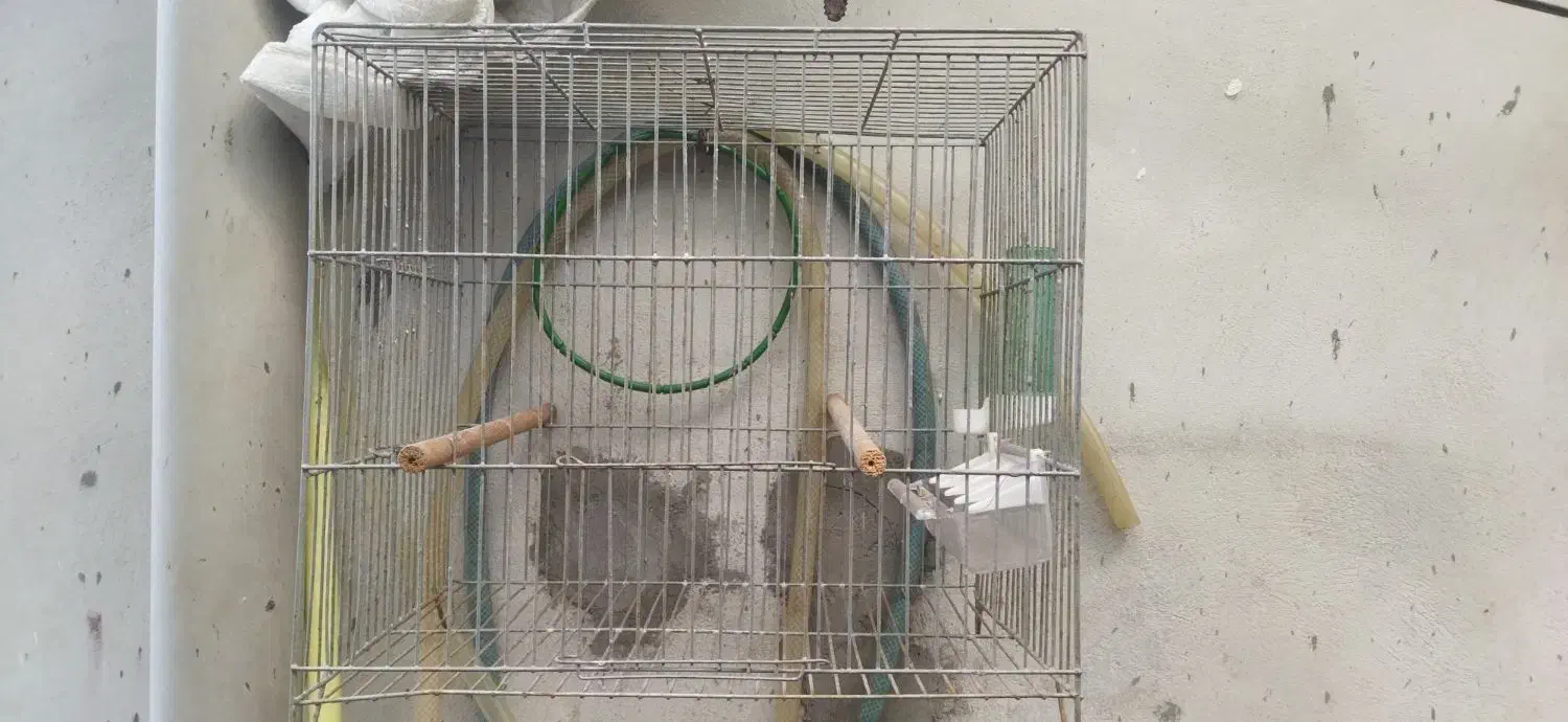 قفس پرنده|لوازم جانبی حیوانات|تنکابن, |دیوار