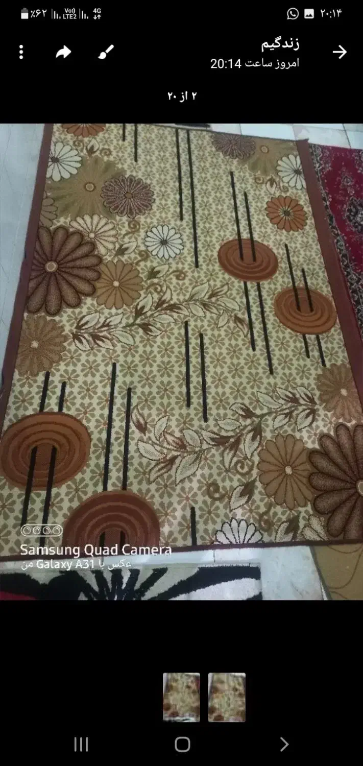 گلیم فرش|گلیم، جاجیم، گبه|ملایر, |دیوار