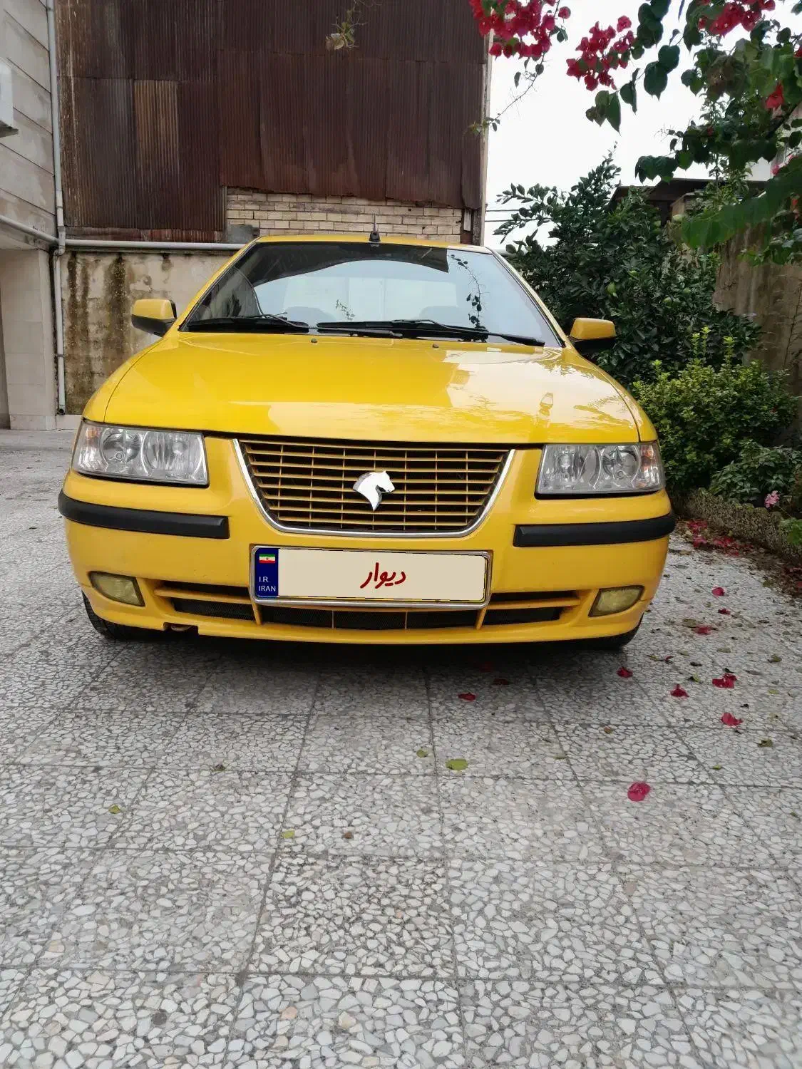 سمند LX|خودرو سواری و وانت|رشت, آزادگان|دیوار