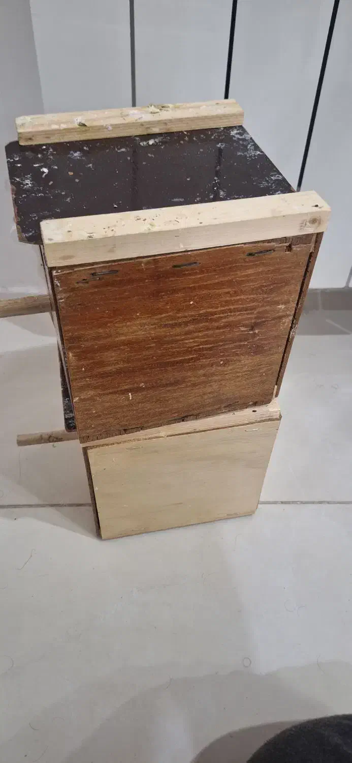 لانه پرنده|لوازم جانبی حیوانات|قائمشهر, |دیوار