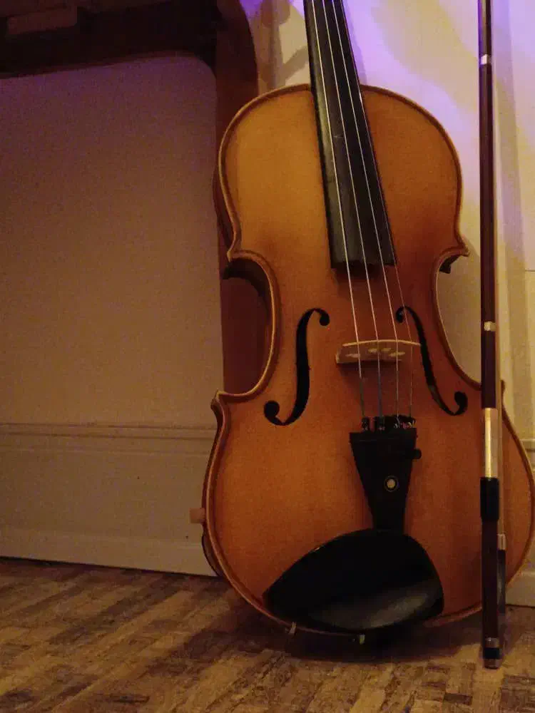 ویالون تی اف سایز ۴/۴|ویولن|شیراز, دشت چنار|دیوار