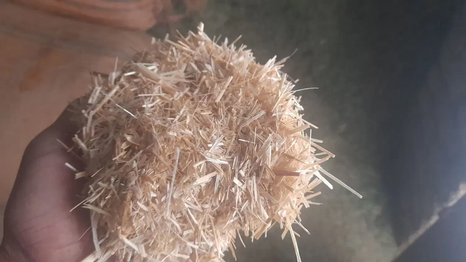 کاه سفید وکاه ینجه|لوازم جانبی حیوانات|دورود, |دیوار