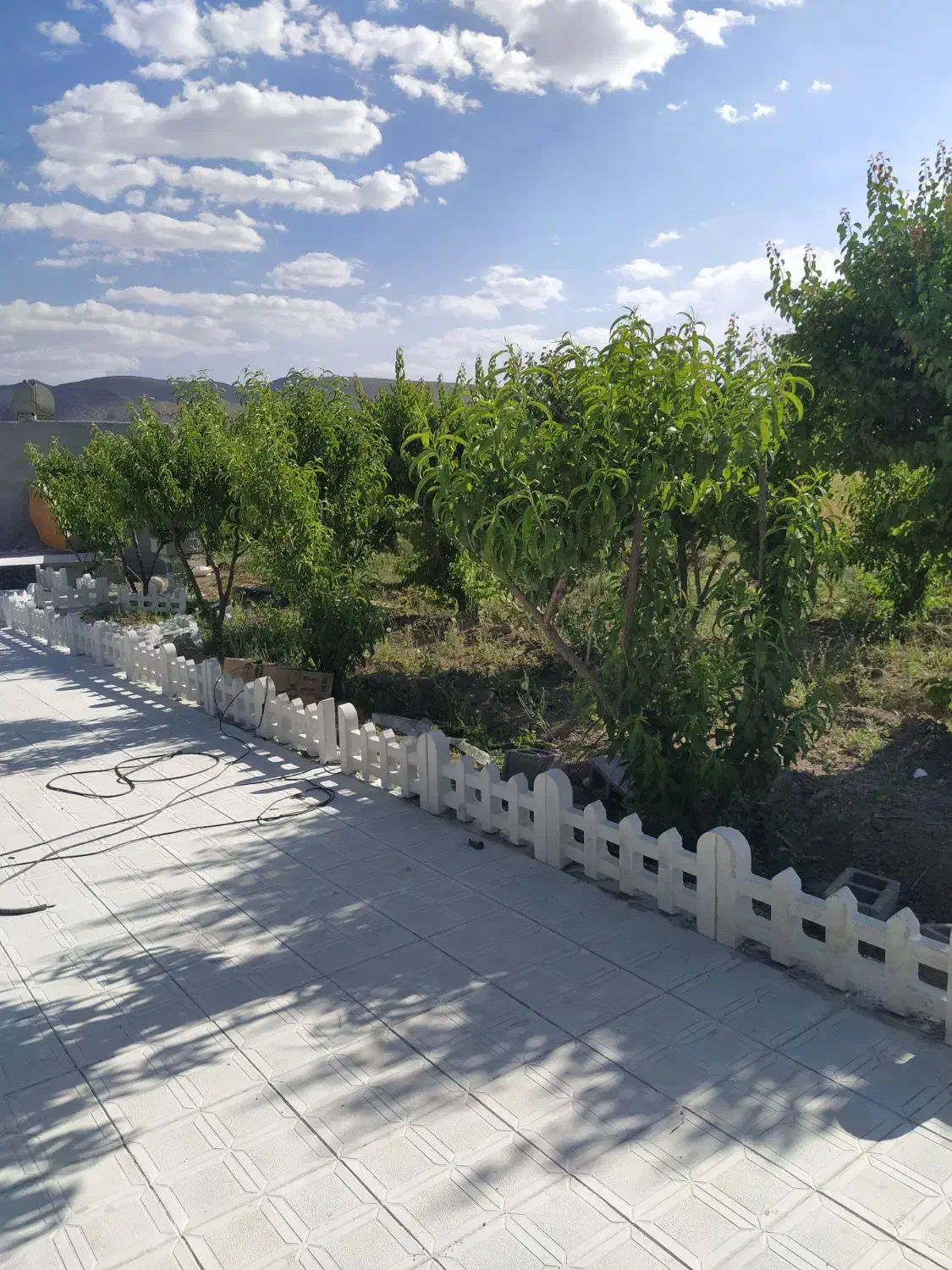 قطعه زمین کشاورزی|اجارهٔ دفتر صنعتی، کشاورزی، تجاری|سیدان, |دیوار