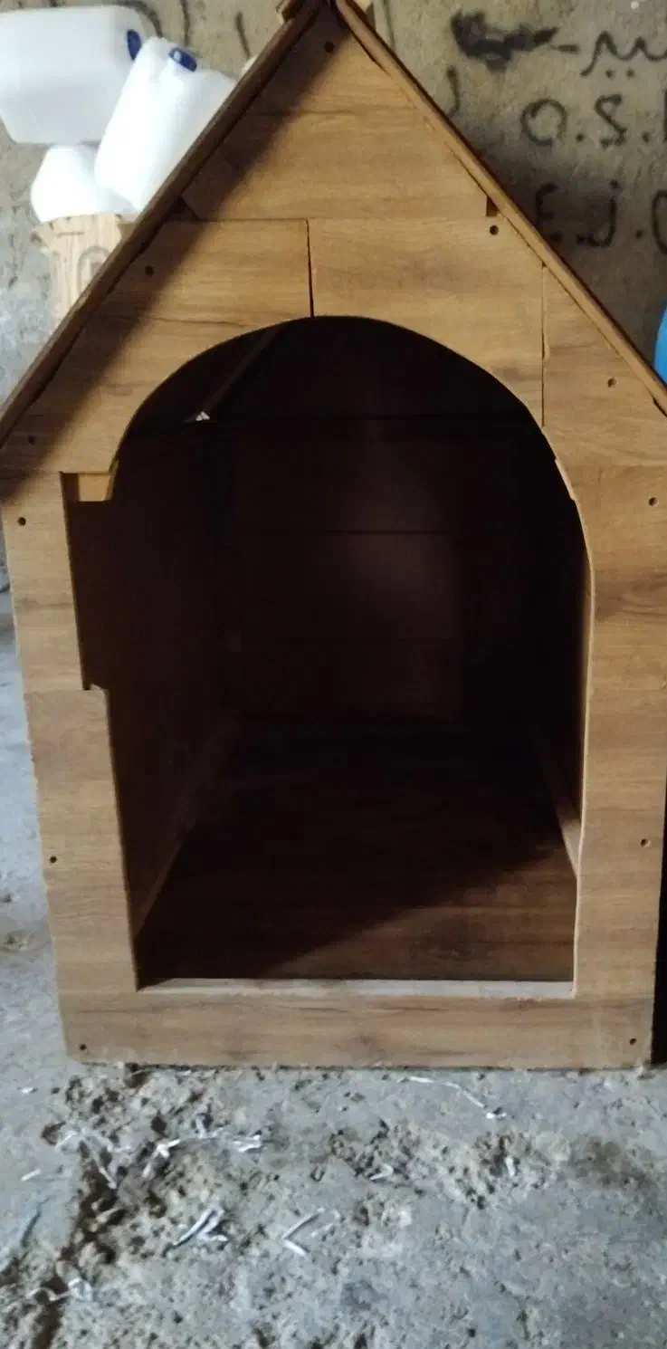 خونه سگ|سگ|شیروان (خراسان), |دیوار