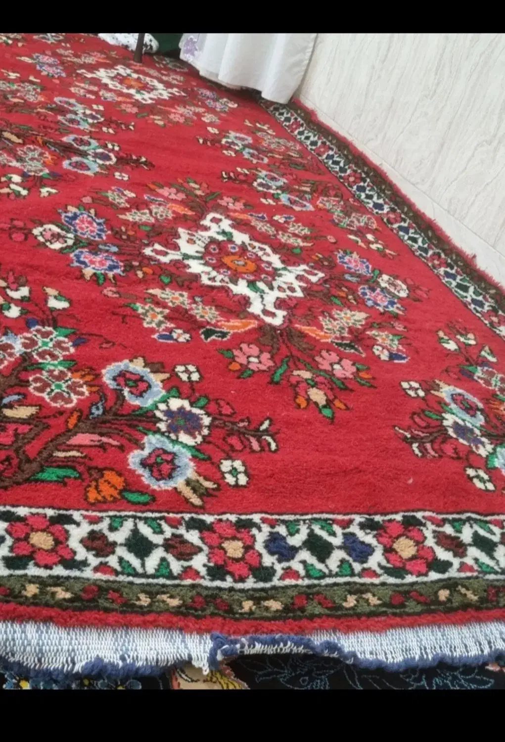 قالی دستبافت سنتی عتیقه|کلکسیون اشیاء عتیقه|قم, پاسدار|دیوار