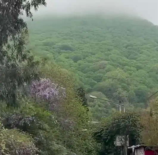 یه تور شاد شمال بریم|تور و چارتر|محمدیه-قزوین, |دیوار