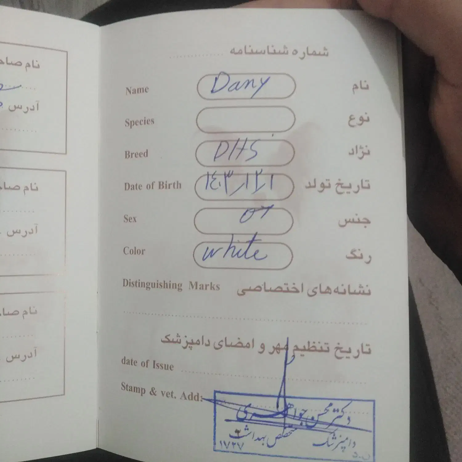 گربه  DHS|گربه|گلبهار, شهر جدید گلبهار|دیوار