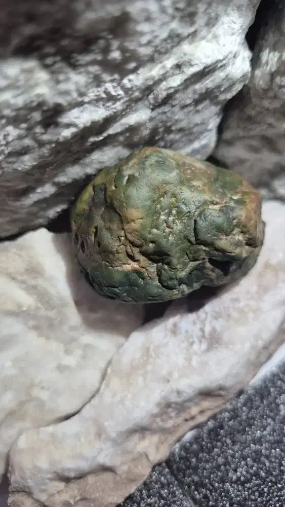 سنگ یشم سبز قیمتی|کلکسیون اشیاء عتیقه|شیراز, شهرک قمشه|دیوار