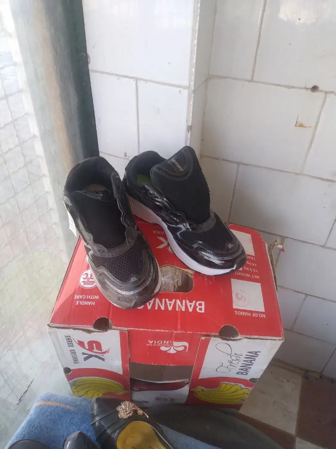 کتانی وکفش مجلسی|کیف، کفش، کمربند|شیروان (خراسان), |دیوار