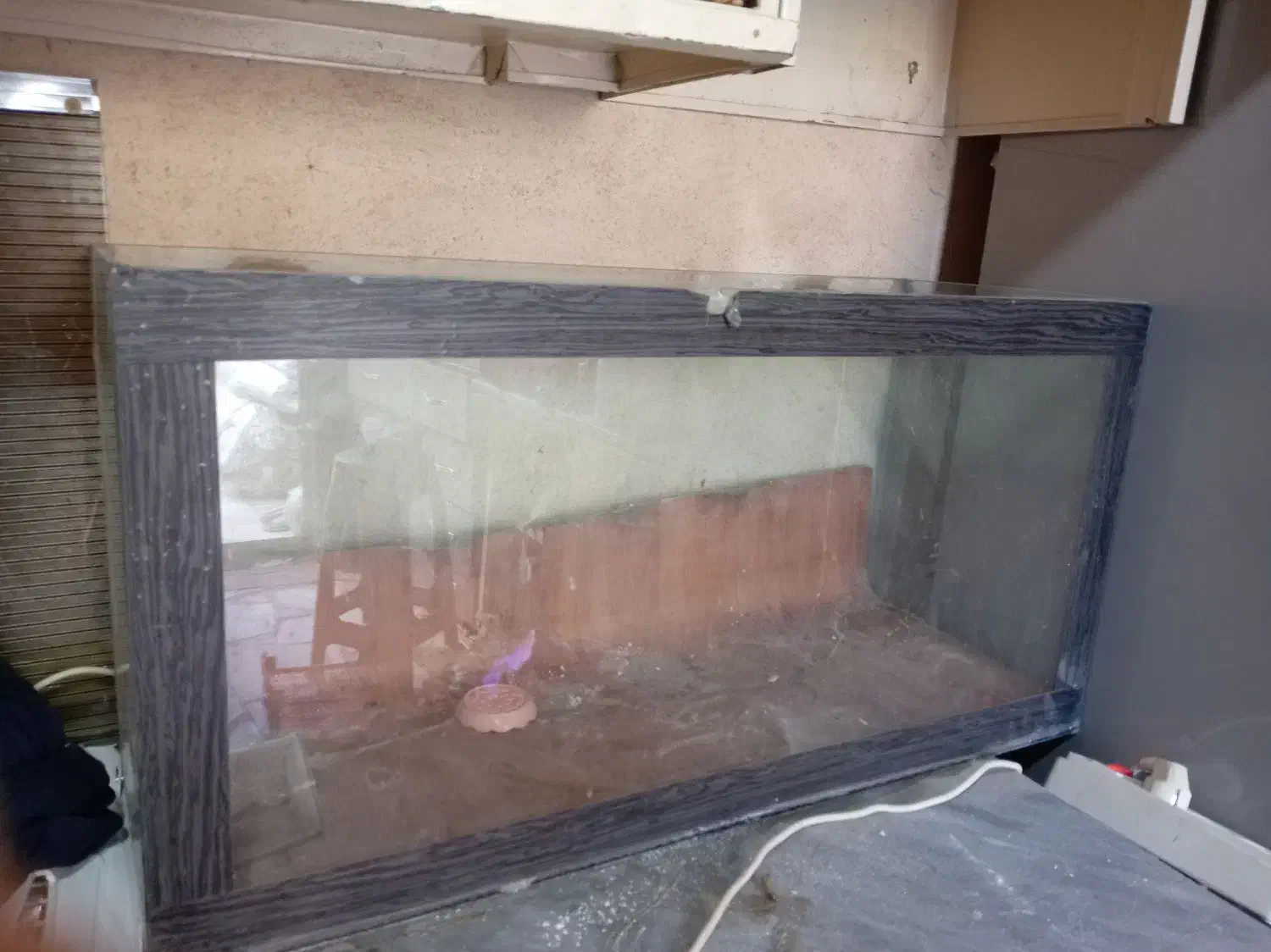 شیشه آکواریوم|ماهی|قروه, |دیوار