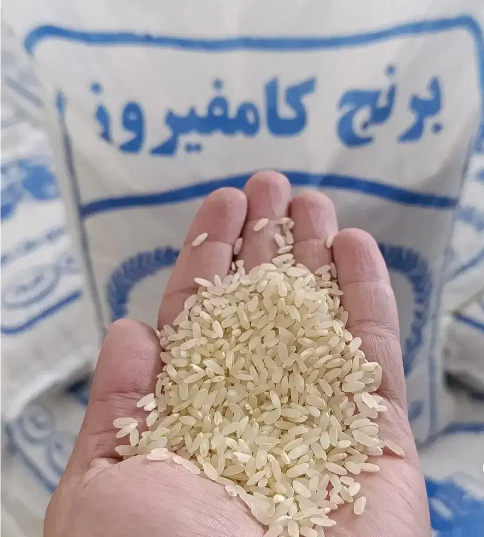 برنج کامفیروزی اصل بکیان|خوردنی و آشامیدنی|کامفیروز, |دیوار