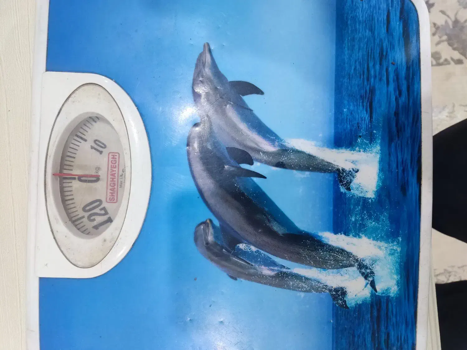 ترازو|پزشکی|یاسوج, |دیوار