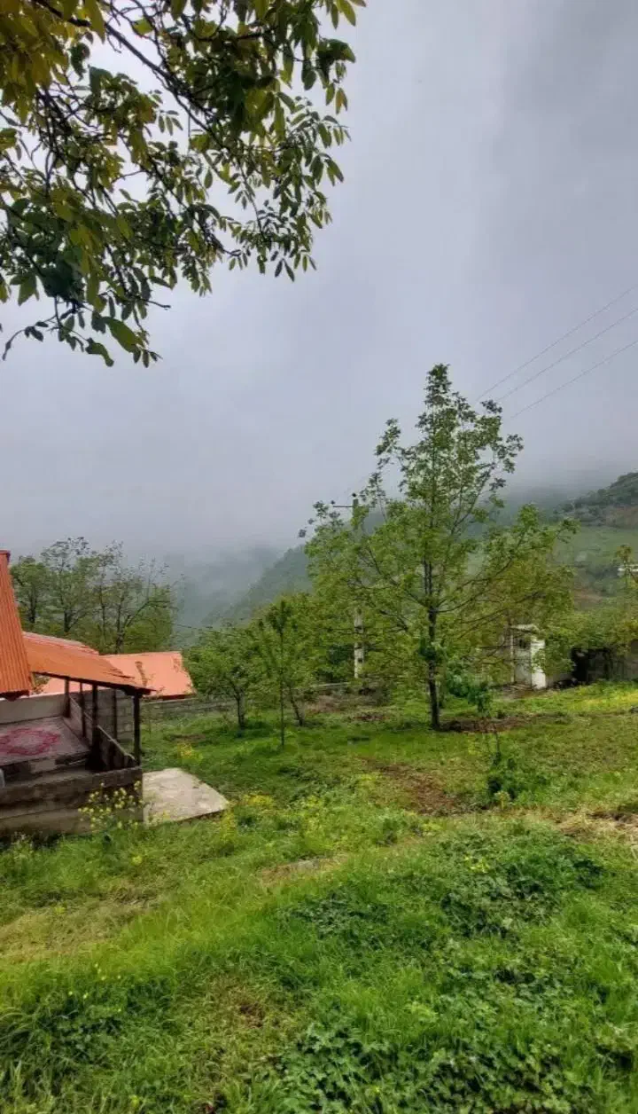 1000متر زمین مسکونی سند تک برگ در دل طبیعت|فروش زمین و ملک کلنگی|رضوانشهر, |دیوار