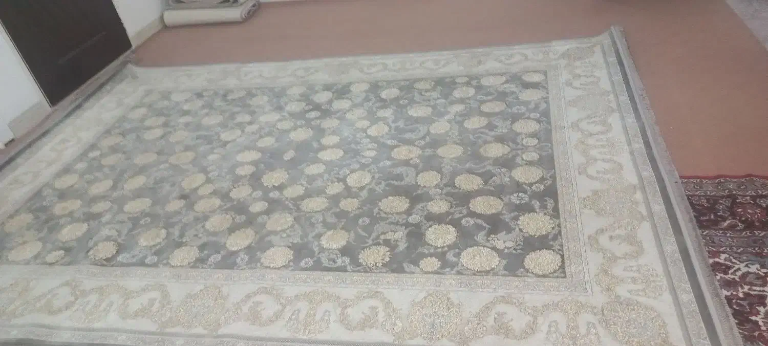 فرش ۹ متری ۱۲۰۰ شانه نو|فرش|قم, شاه ابراهیم|دیوار