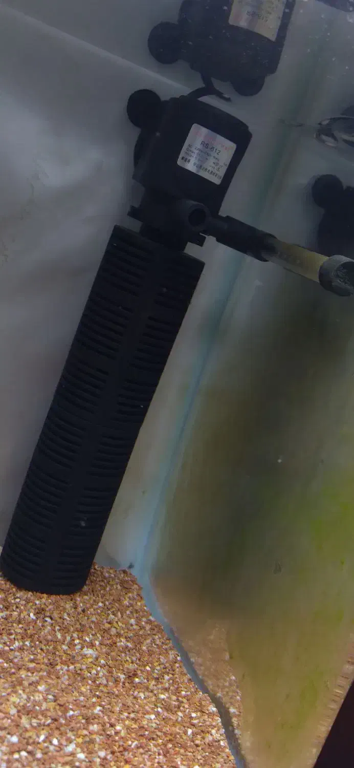 ال ای دی،فیلتر داخلی،استیک،ویبرابایت،فیکوسیانین|ماهی|مشهد, انقلاب|دیوار