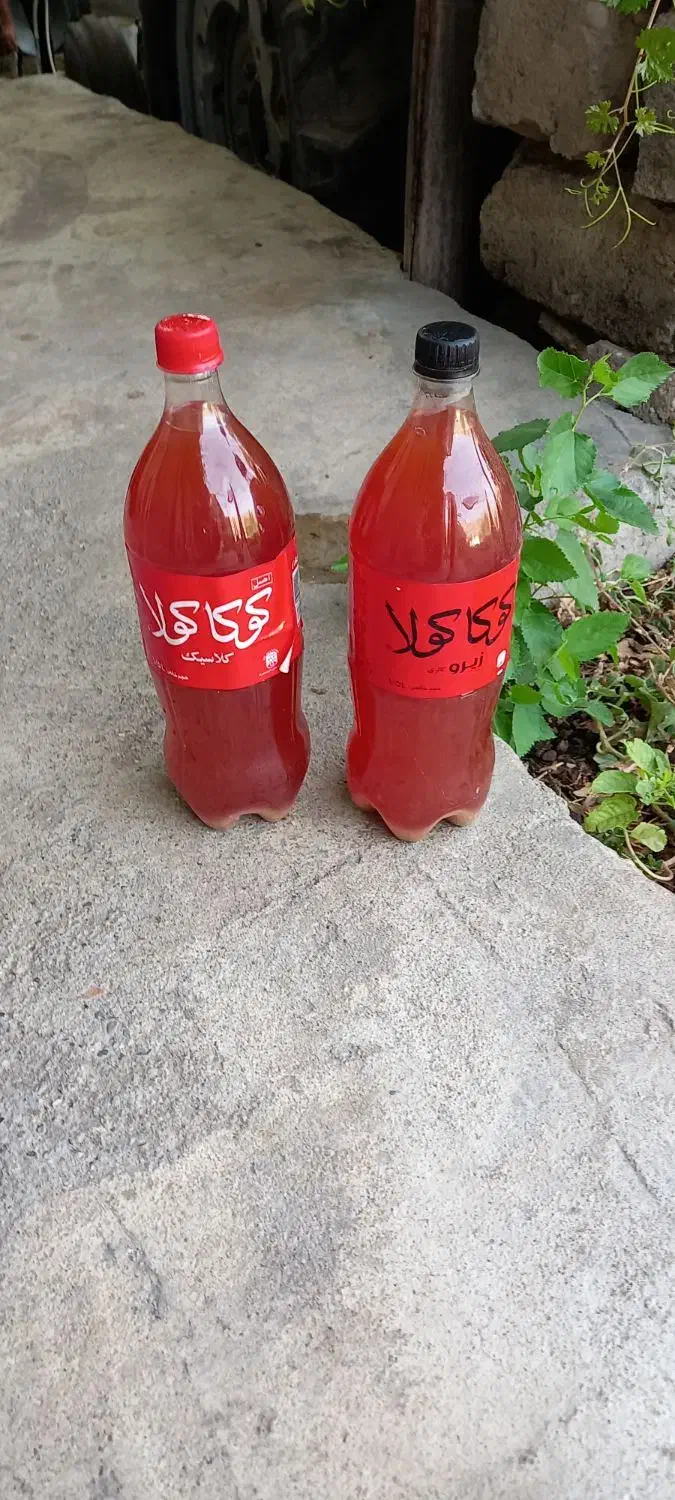 آبغوره ترش و خوشمزه تمیز ارگانیک موجوده|خوردنی و آشامیدنی|صحنه, |دیوار