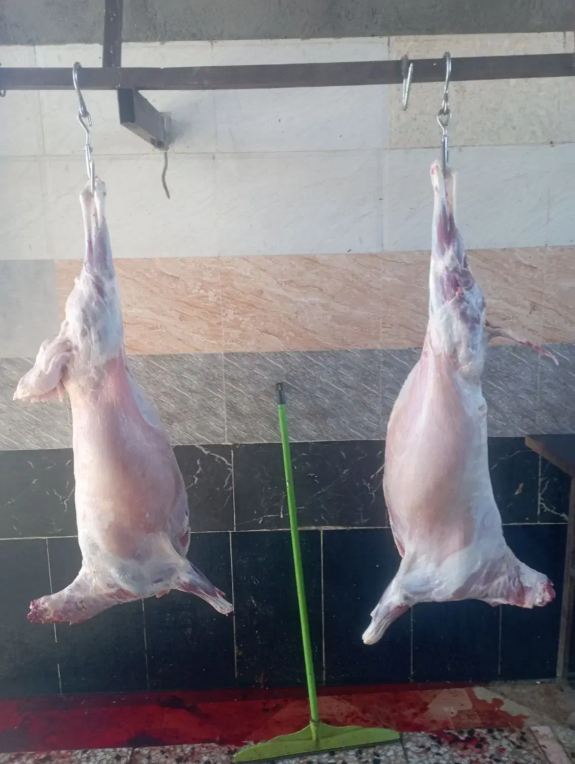 لاشه و  آلایش بره و بزغاله کشتار در لحظه|حیوانات مزرعه|قم, باغ شازده|دیوار