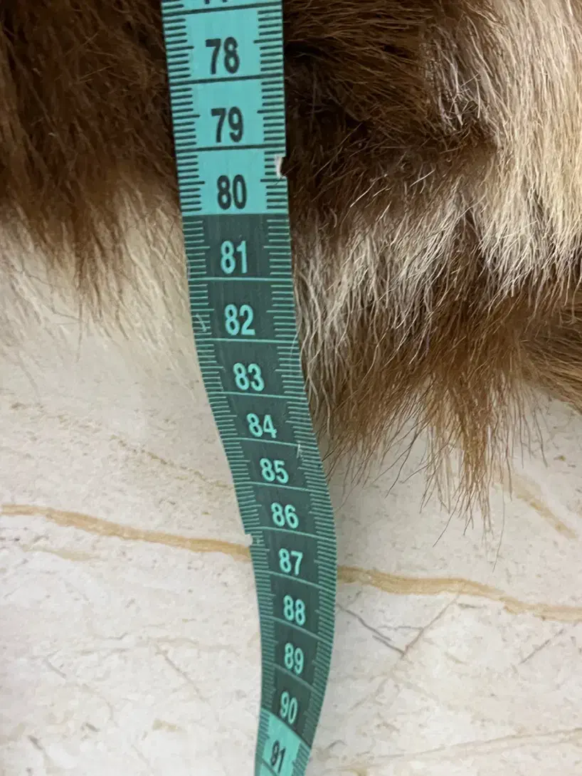 وکیل آباد|فرش|مشهد, وکیل‌آباد|دیوار