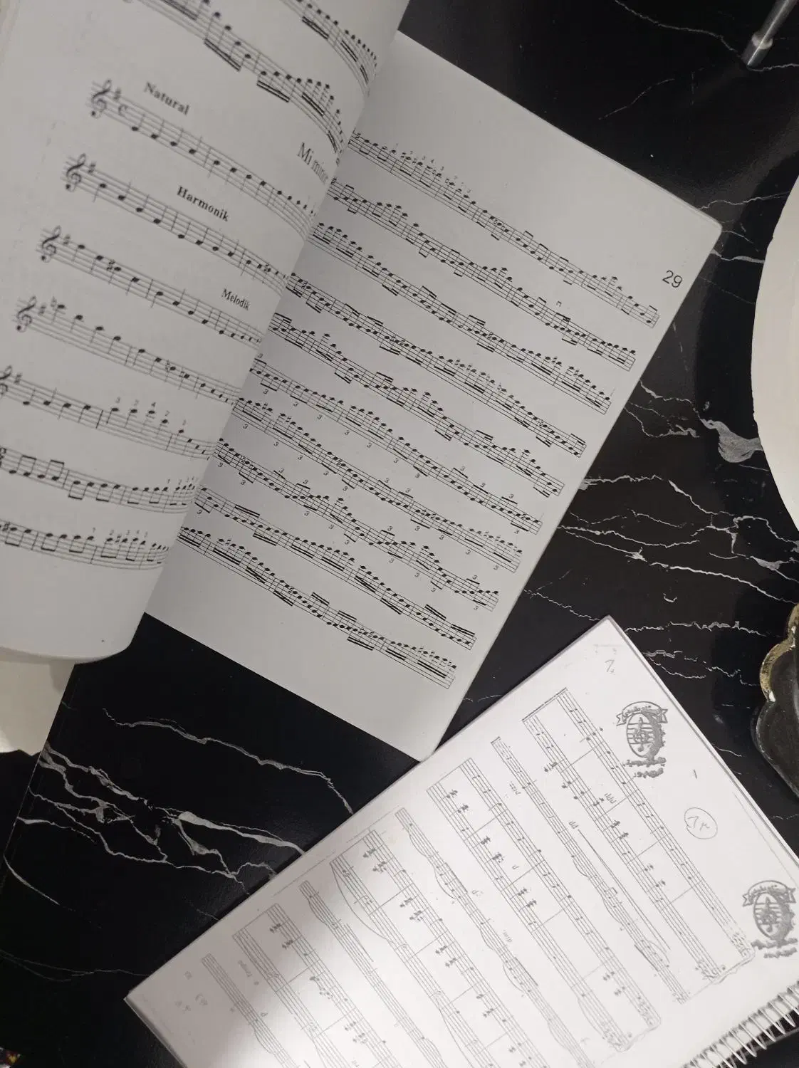 کمانچه آذربایجانی|سازهای سنتی|تبریز, |دیوار