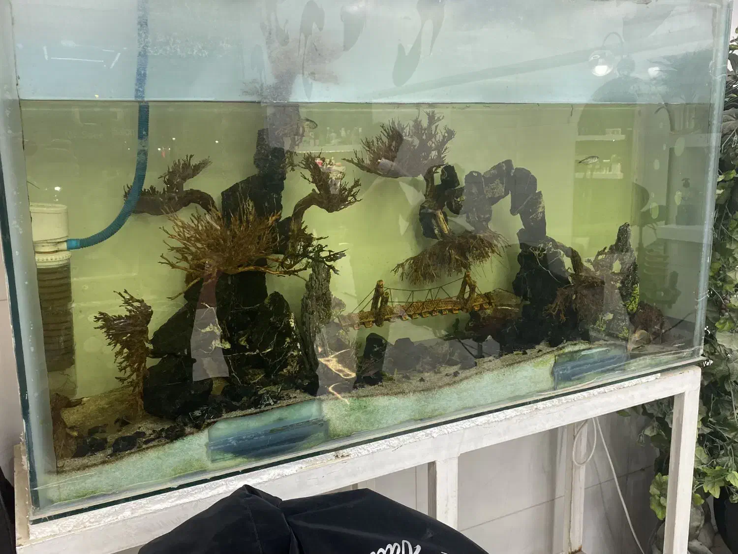 آکواریوم  بزرگ|ماهی|مشهد, شهید قربانی|دیوار