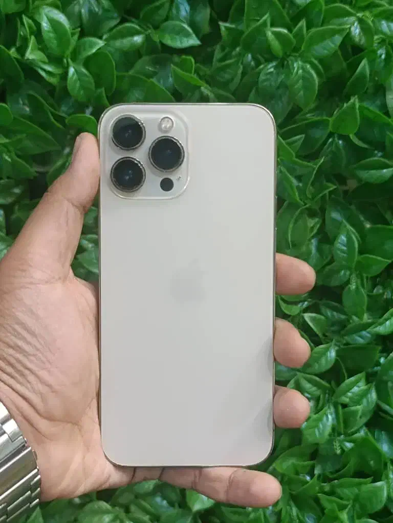 13promax|موبایل|شیراز, طلاب|دیوار