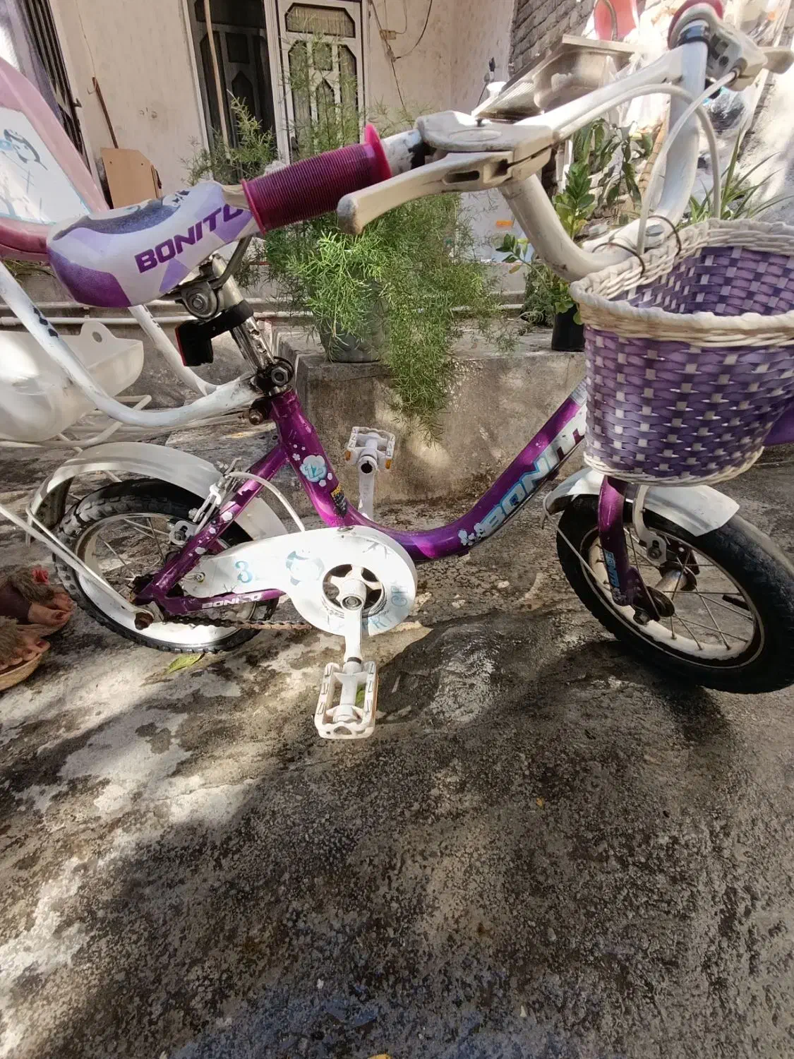 دوچرخه بچه گانه۱۲|دوچرخه، اسکیت، اسکوتر|سرخنکلاته, |دیوار