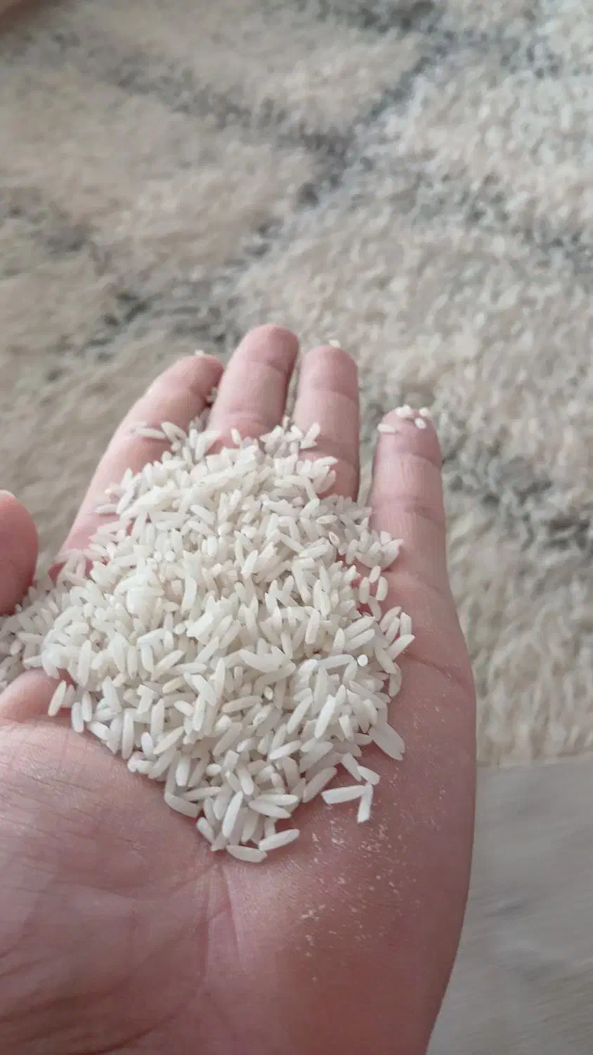 برنج طارم|خوردنی و آشامیدنی|کلاله, |دیوار