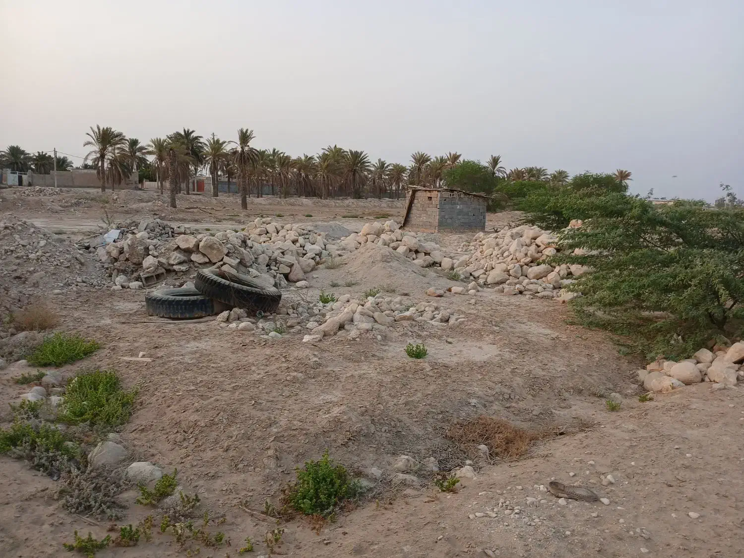 زمین مسکونی بنه گز|فروش زمین و ملک کلنگی|اهرم, |دیوار