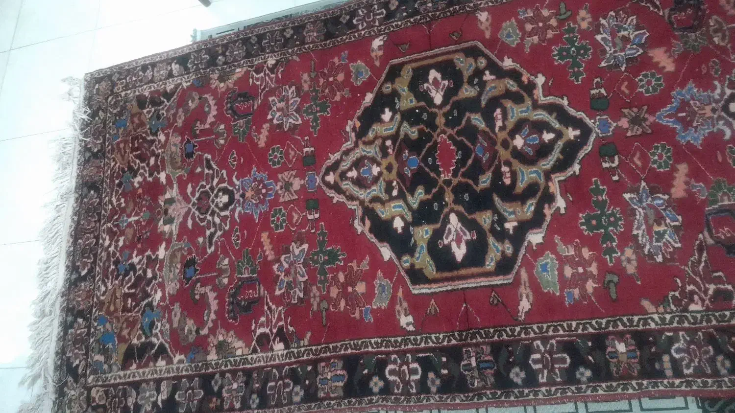 فرش تمام پشم دستبافت|فرش|شاهین‌شهر, حافظ شمالی|دیوار