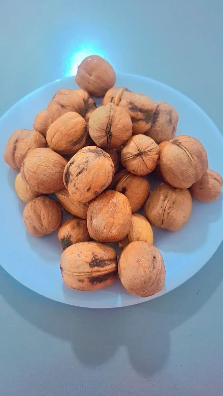 گردو|خوردنی و آشامیدنی|یاسوج, |دیوار