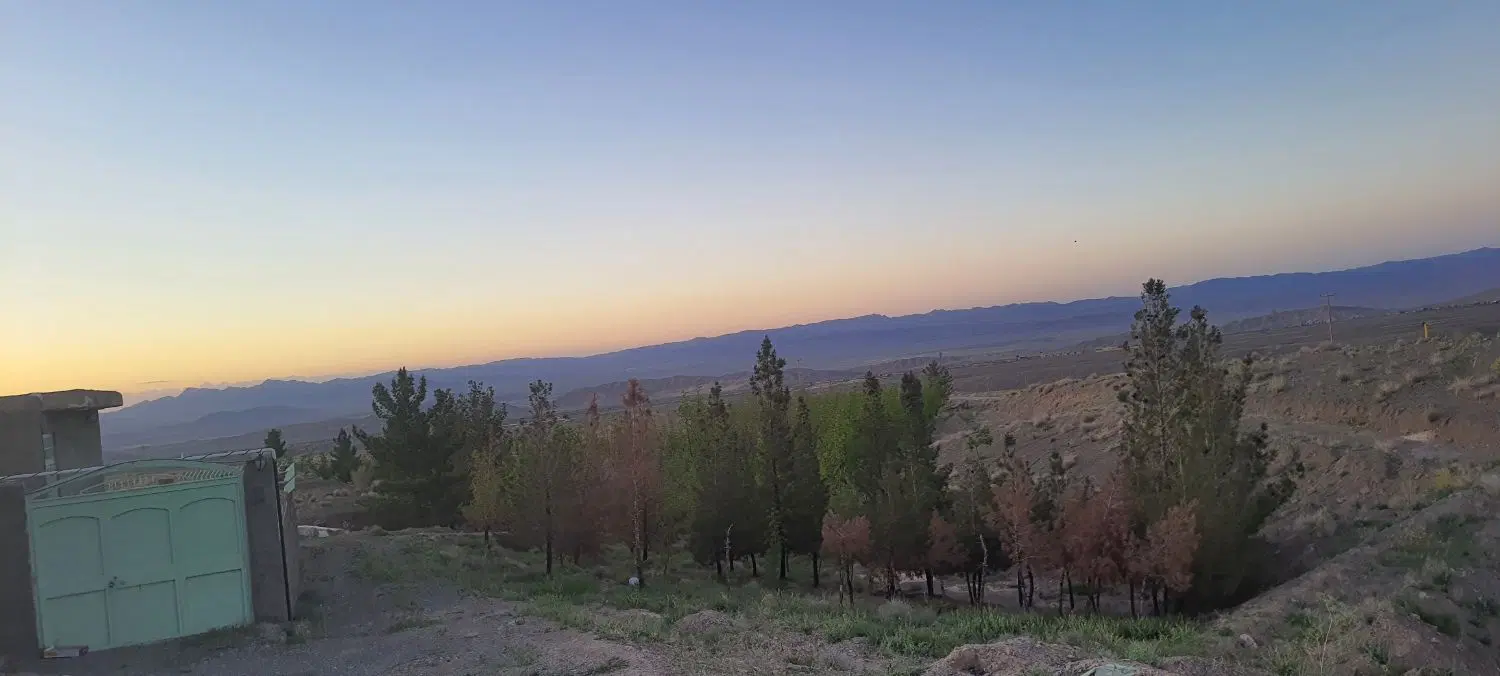 تصویر 2