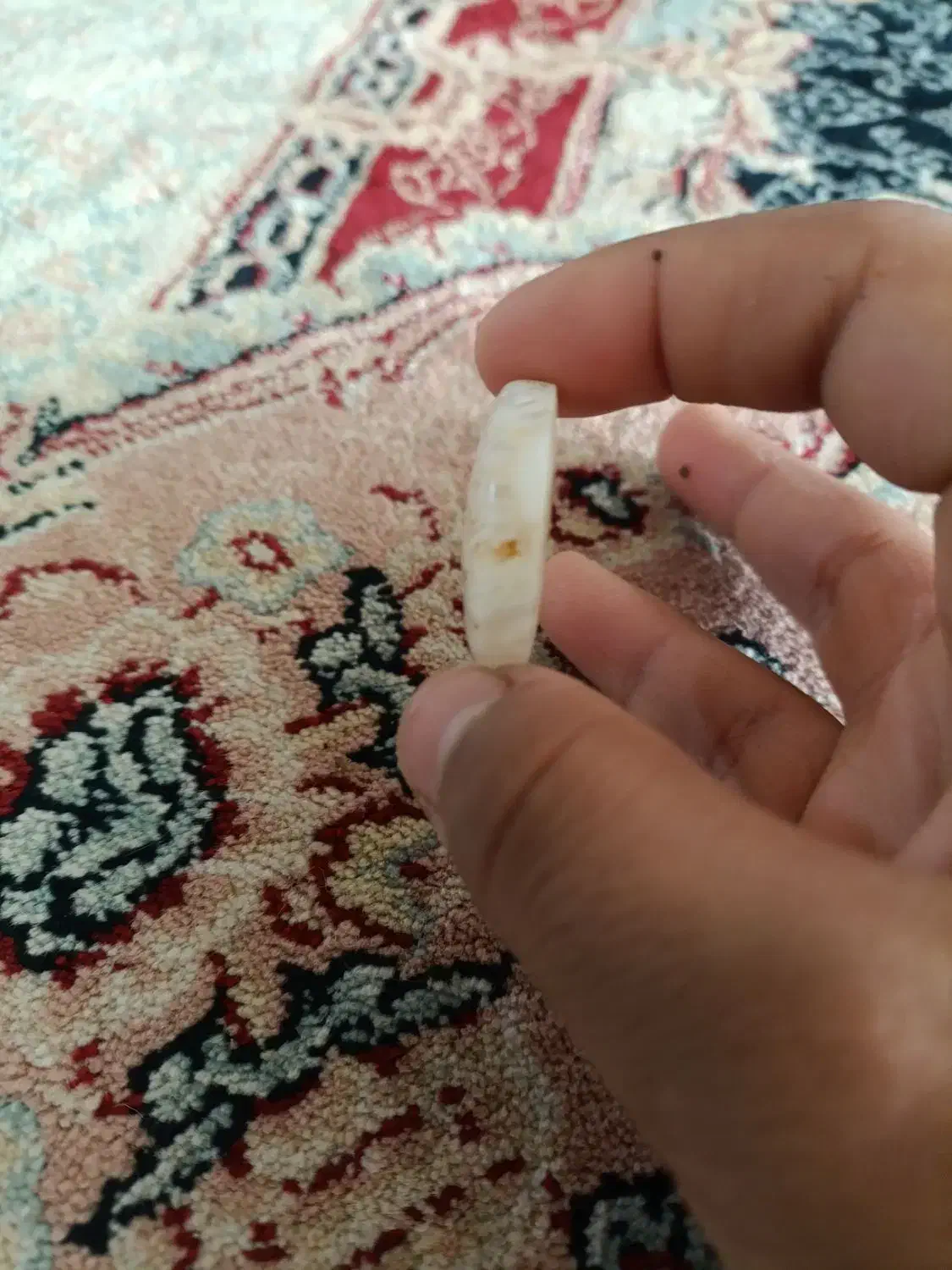 سنگ شجر کیفیت بالا|کلکسیون اشیاء عتیقه|بم, |دیوار