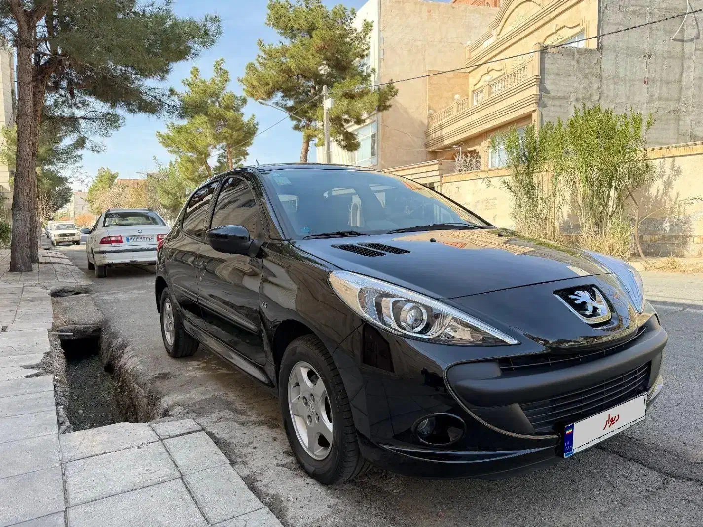 پژو ۲۰۷ پانا|خودرو سواری و وانت|مشهد, تربیت (صدف)|دیوار